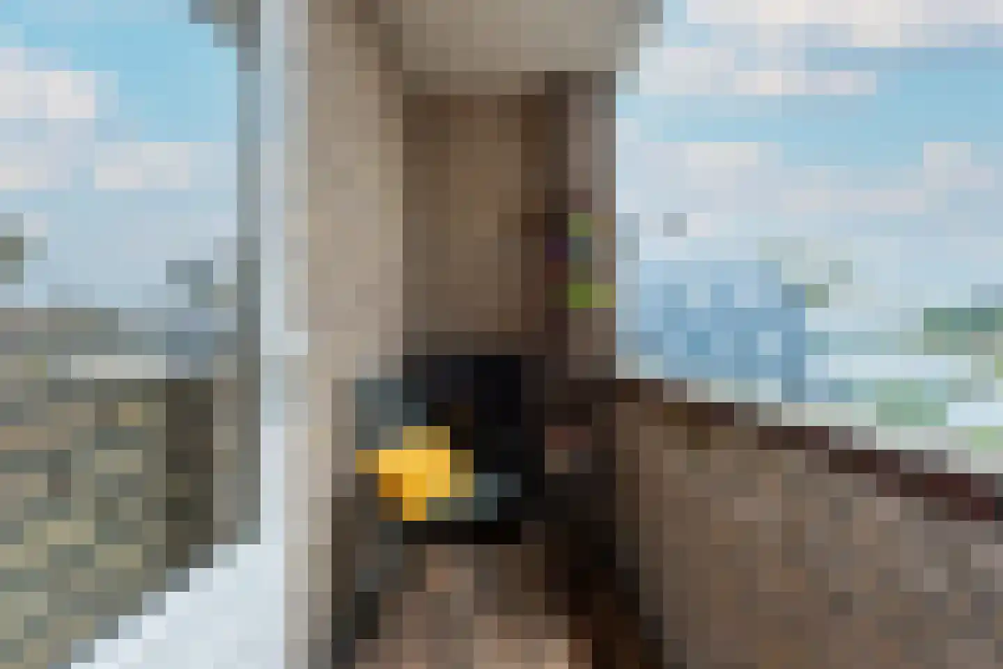2e Hogeweg 2 A Zeist thumbnail 33