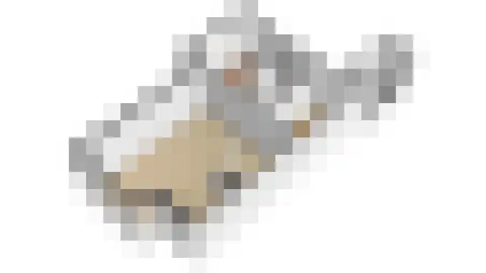 2e Hogeweg 2 A Zeist thumbnail 41