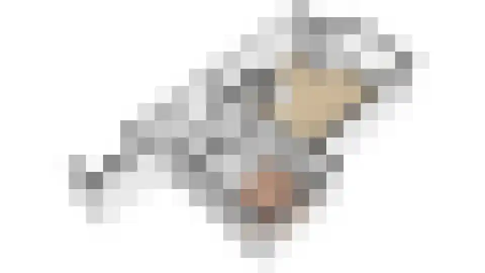 2e Hogeweg 2 A Zeist thumbnail 42
