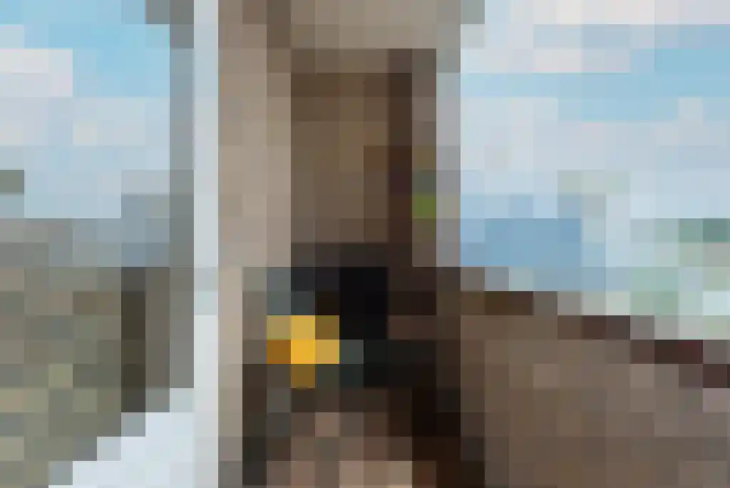 2e Hogeweg 2 A Zeist thumbnail 5