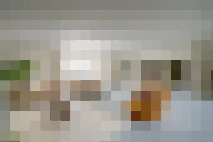 2e Hogeweg 26 Zeist thumbnail 13