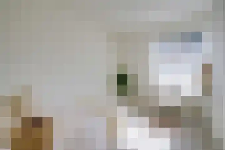 2e Hogeweg 26 Zeist thumbnail 26