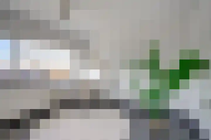 2e Hogeweg 97 C Zeist thumbnail 27