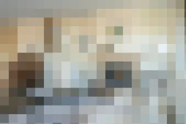 2e Hogeweg 97 C Zeist thumbnail 9