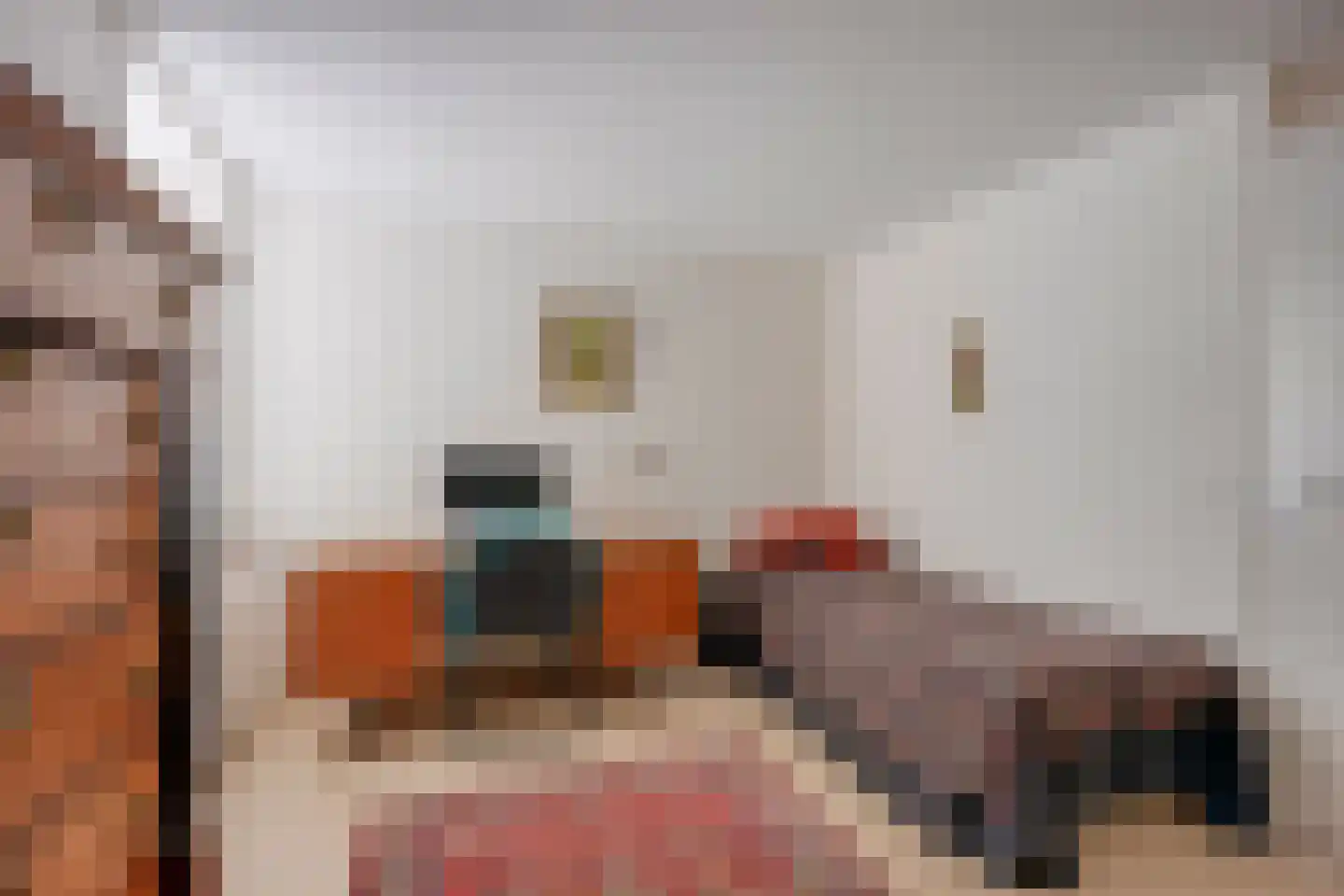 2e Hogeweg 97 Zeist thumbnail 23