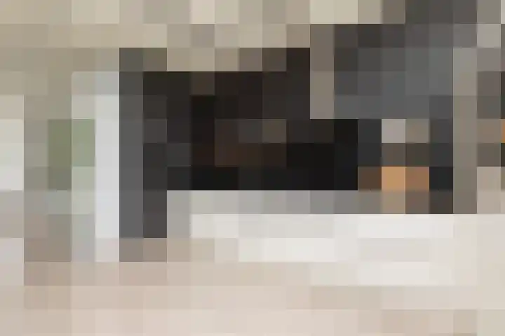 2e Hollandiastraat 29 Bolsward thumbnail 10