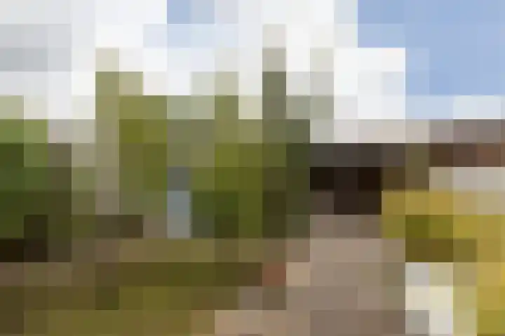 2e Hollandiastraat 29 Bolsward thumbnail 30