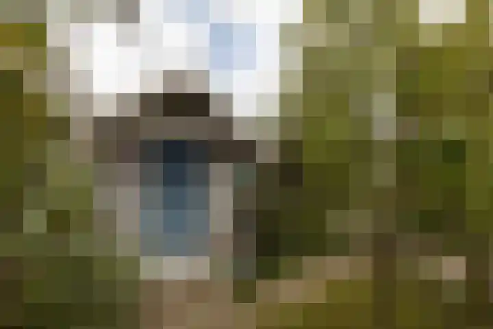 2e Hollandiastraat 29 Bolsward thumbnail 31