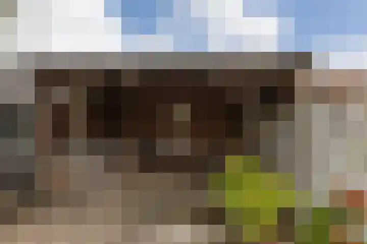 2e Hollandiastraat 29 Bolsward thumbnail 33