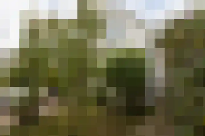 2e Hollandiastraat 29 Bolsward thumbnail 34