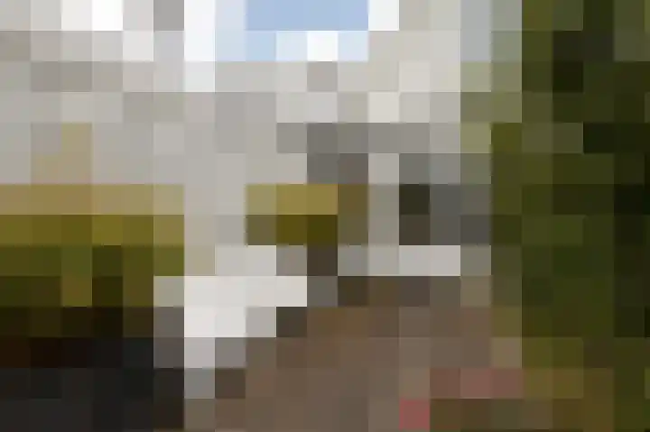 2e Hollandiastraat 29 Bolsward thumbnail 35