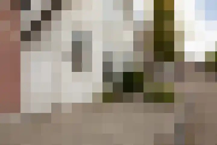 2e Hollandiastraat 29 Bolsward thumbnail 36