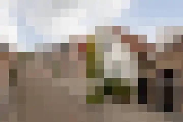 2e Hollandiastraat 29 Bolsward thumbnail 37