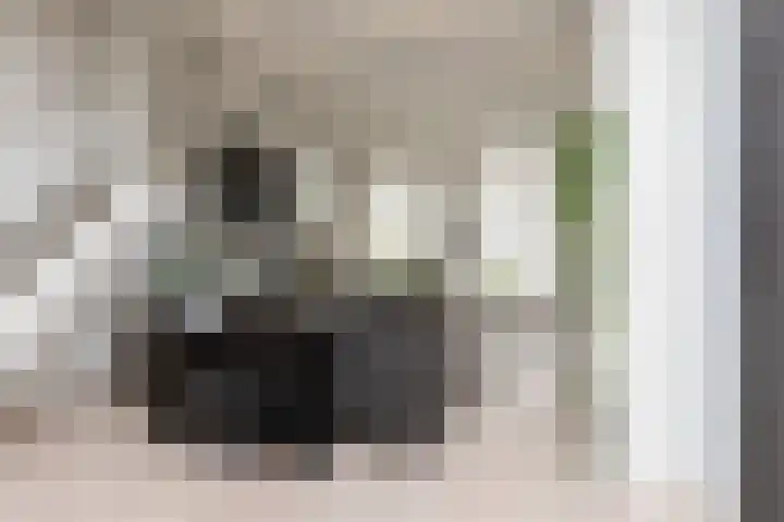 2e Hollandiastraat 29 Bolsward thumbnail 4
