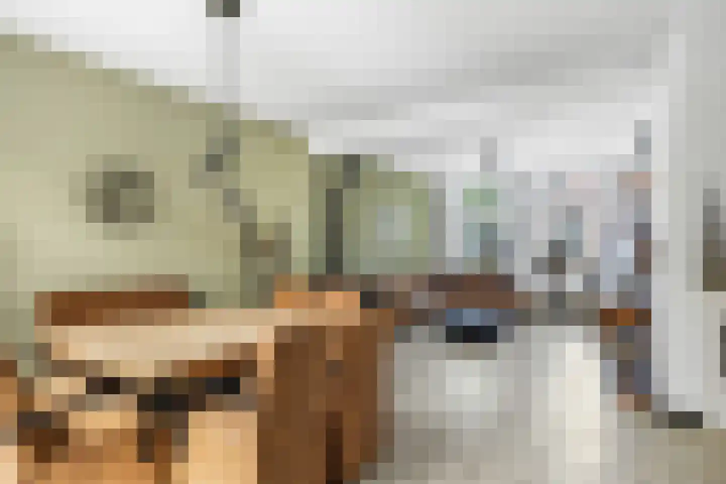 2e Hollandiastraat 4 Bolsward thumbnail 8
