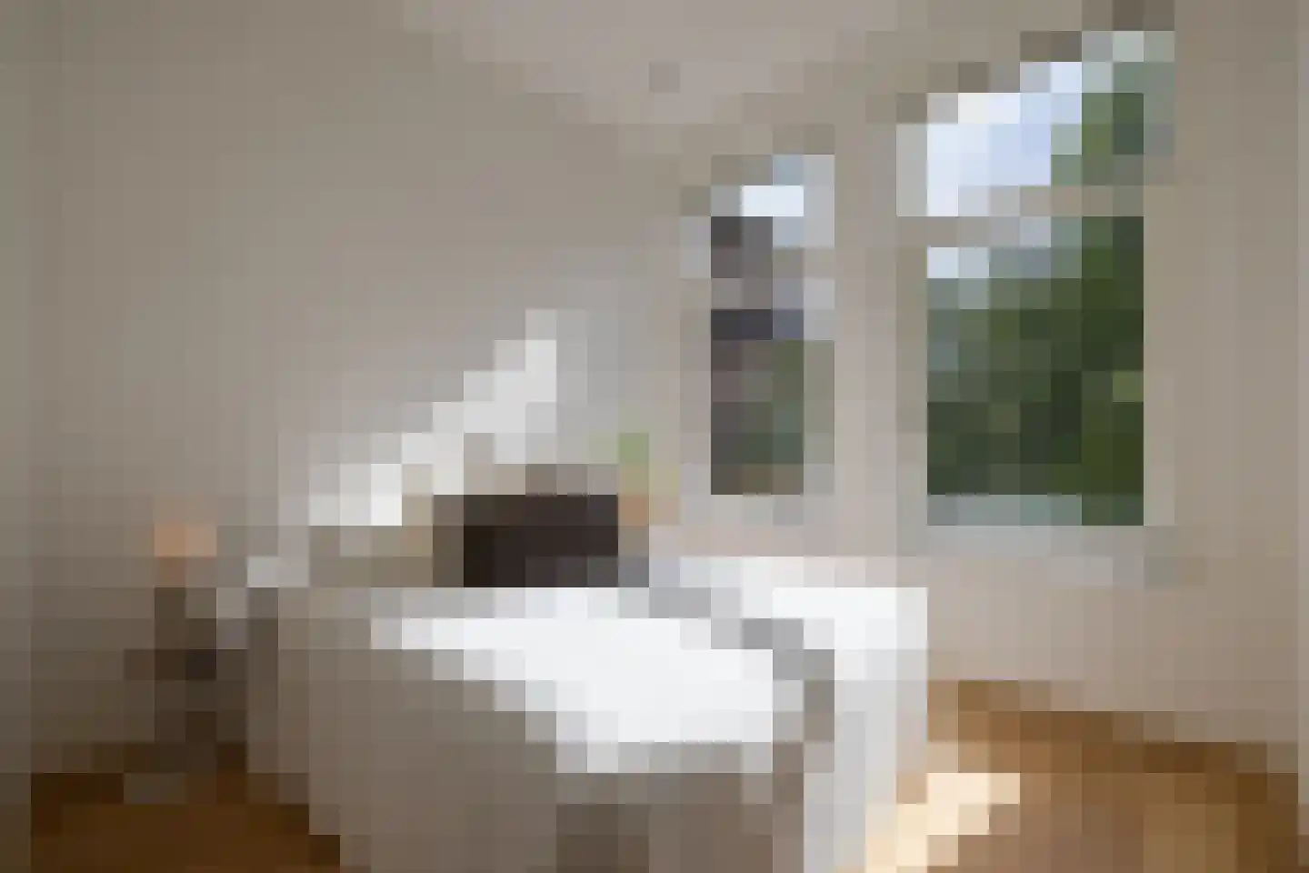2e Jerichostraat 18 Rotterdam thumbnail 20