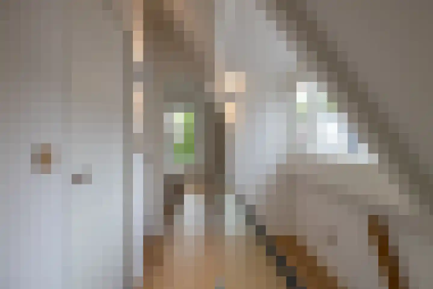 2e Jerichostraat 18 Rotterdam thumbnail 36