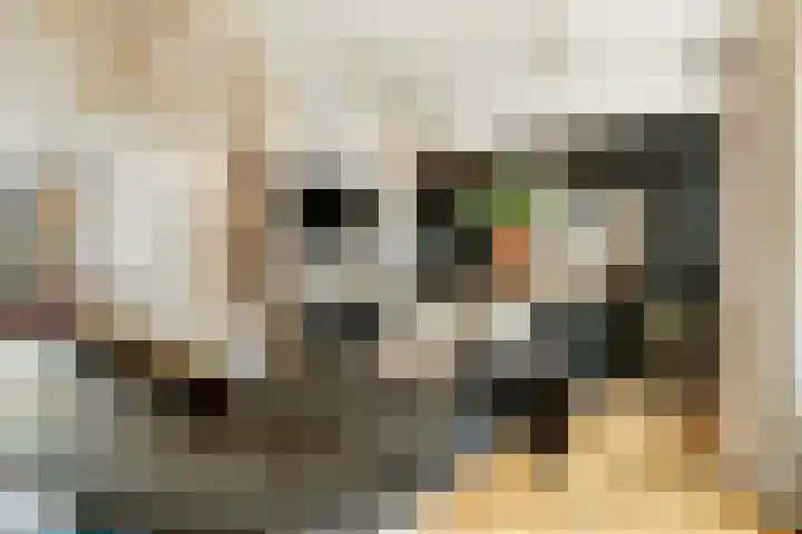 2e Jerichostraat 6 A Rotterdam thumbnail 15