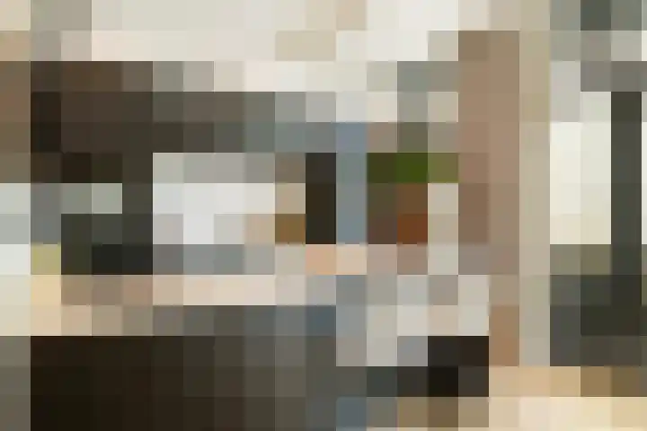 2e Jerichostraat 6 A Rotterdam thumbnail 16