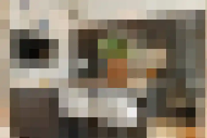 2e Jerichostraat 6 A Rotterdam thumbnail 21