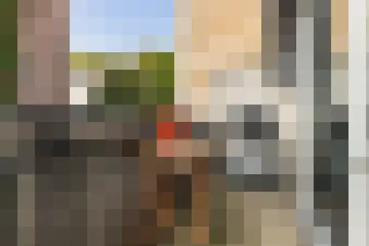 2e Jerichostraat 6 A Rotterdam thumbnail 22