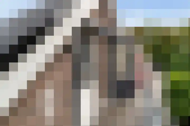 2e Jerichostraat 6 A Rotterdam thumbnail 33