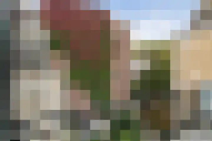 2e Jerichostraat 6 A Rotterdam thumbnail 34