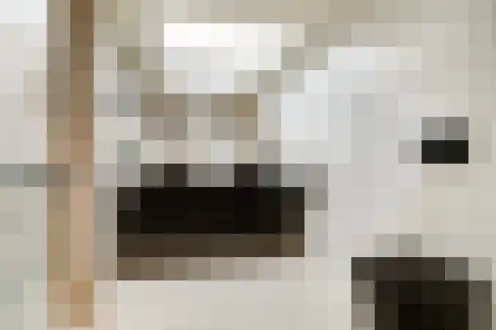 2e Jerichostraat 6 A Rotterdam thumbnail 36