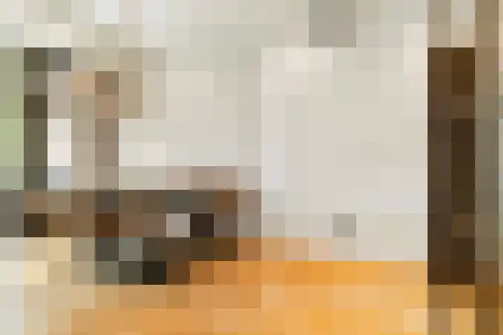 2e Jerichostraat 6 A Rotterdam thumbnail 4