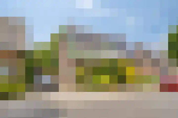 2e Johannastraat 28 Apeldoorn thumbnail 4