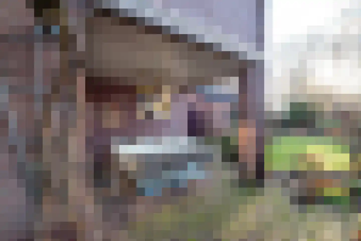 2e Johannastraat 31 Apeldoorn thumbnail 34
