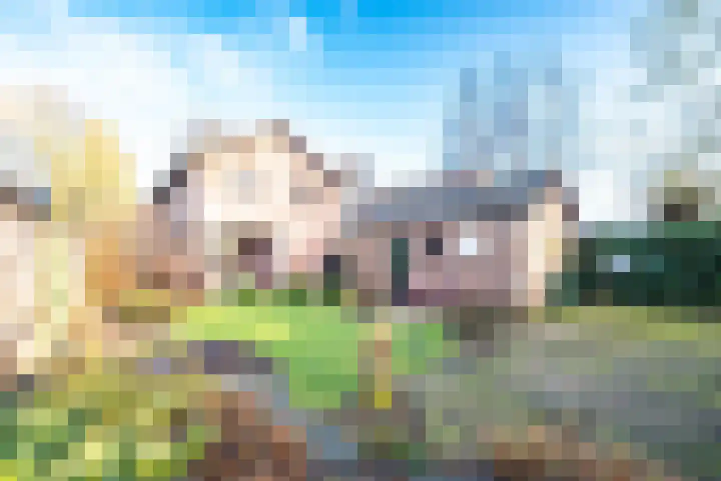 2e Johannastraat 31 Apeldoorn thumbnail 4