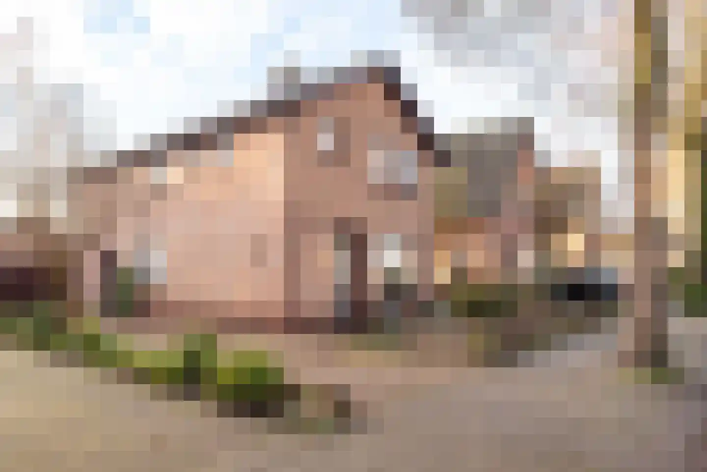 2e Johannastraat 31 Apeldoorn thumbnail 6