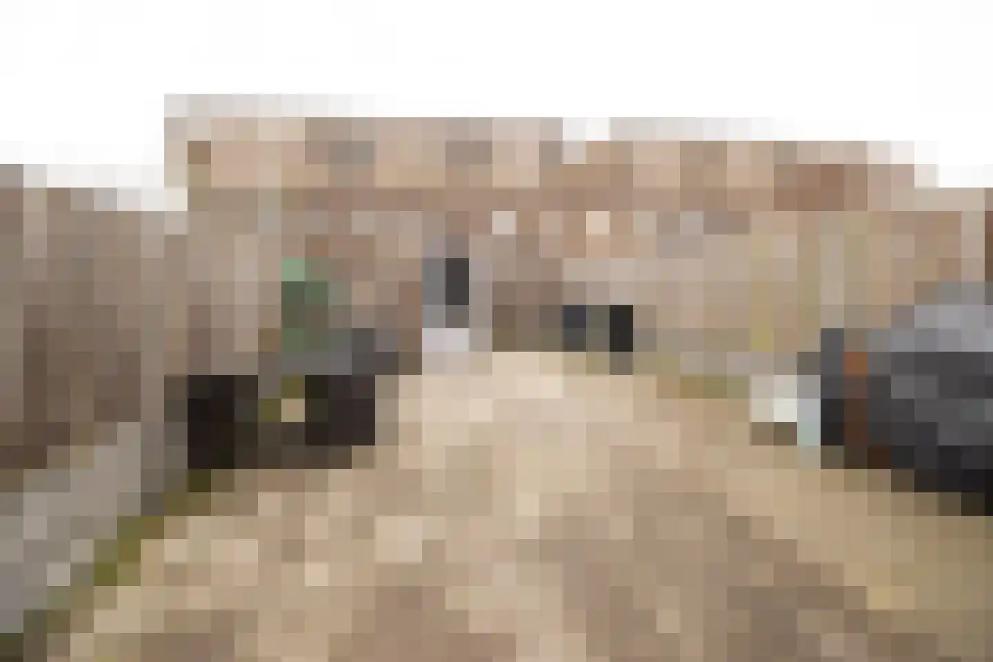 2e Kekerstraat 29 Amsterdam thumbnail 18