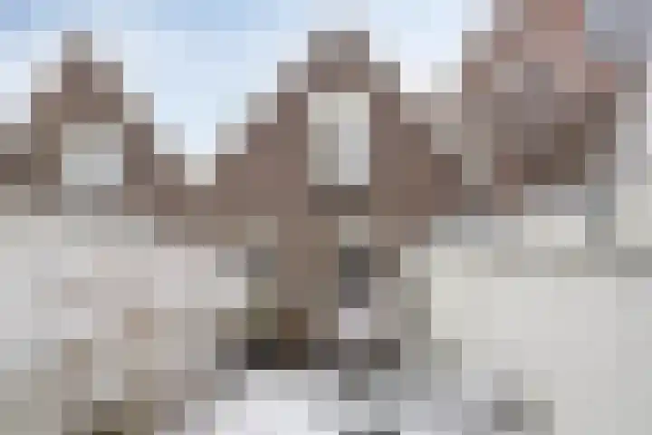 2e Kruisstraat 42 Deventer thumbnail 37