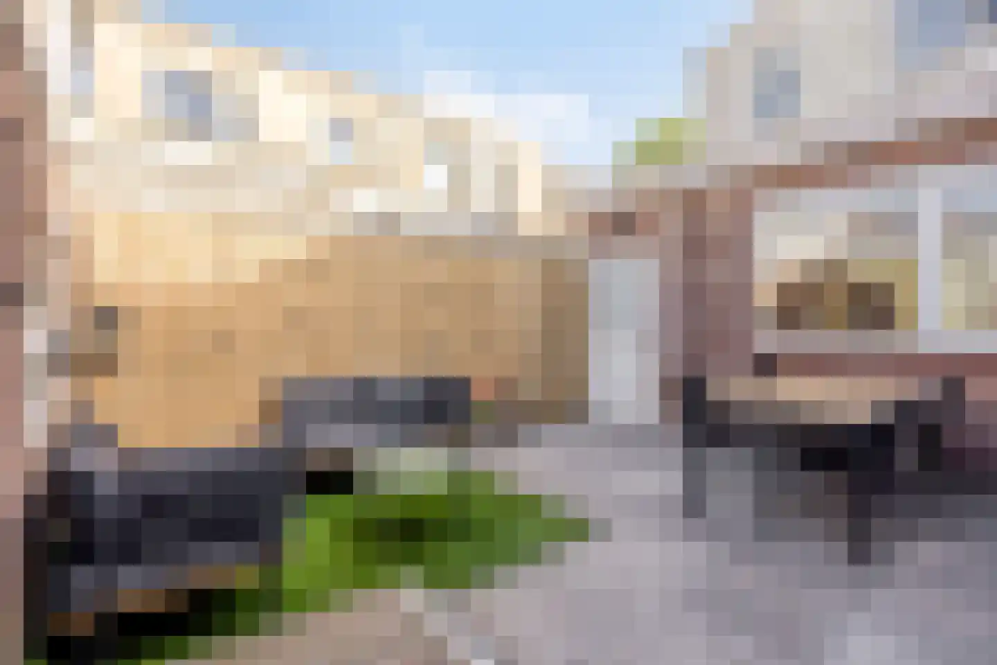 2e Kruisstraat 9 Deventer thumbnail 23