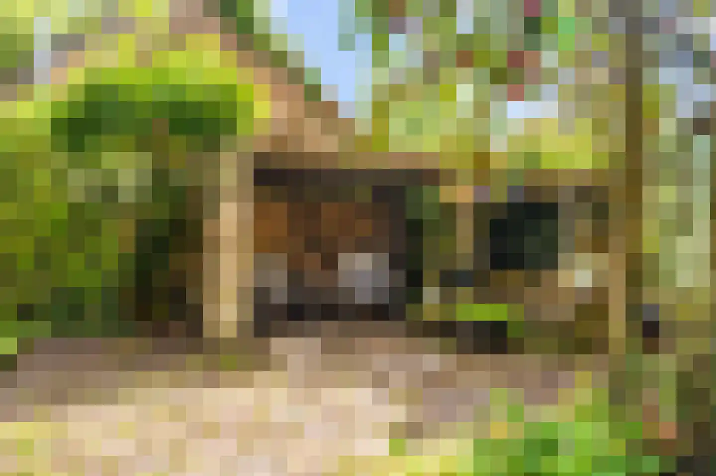 2e Kwartierstraat 1 Oudeschans thumbnail 10