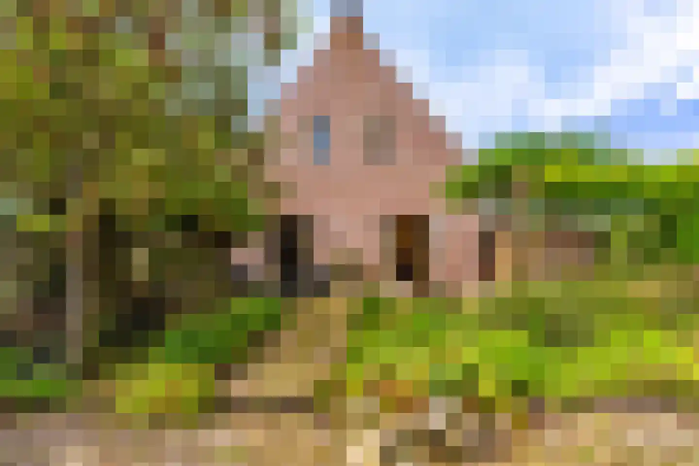 2e Kwartierstraat 1 Oudeschans thumbnail 11