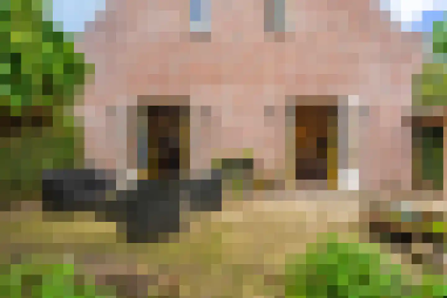 2e Kwartierstraat 1 Oudeschans thumbnail 13
