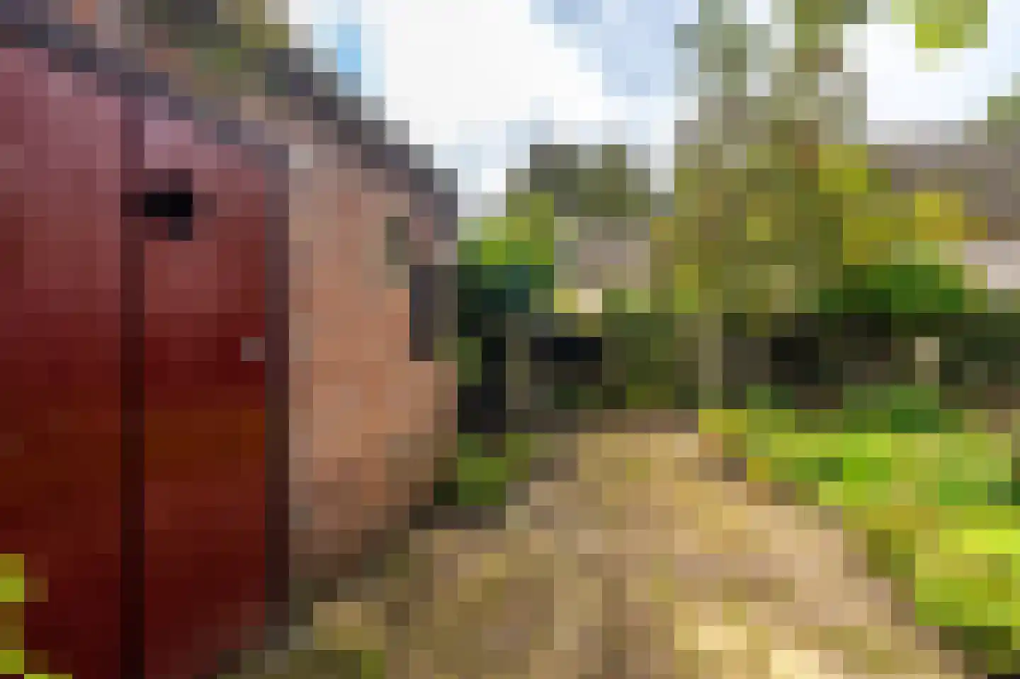 2e Kwartierstraat 1 Oudeschans thumbnail 14