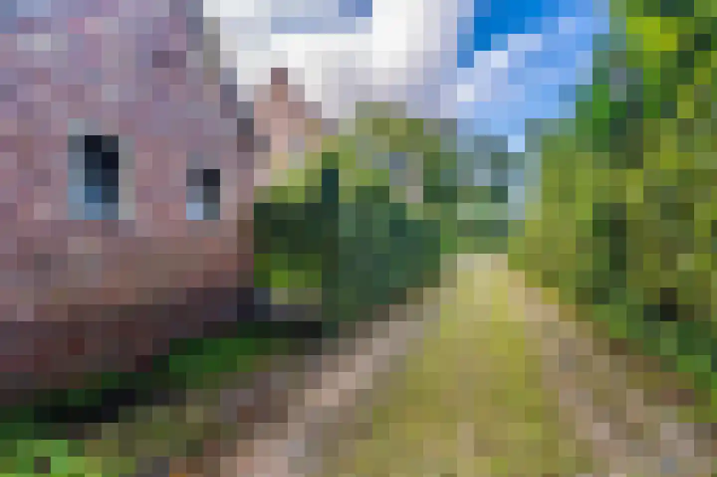 2e Kwartierstraat 1 Oudeschans thumbnail 18