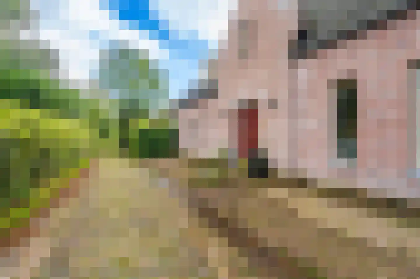 2e Kwartierstraat 1 Oudeschans thumbnail 8