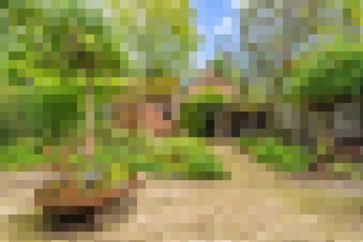 2e Kwartierstraat 1 Oudeschans thumbnail 9