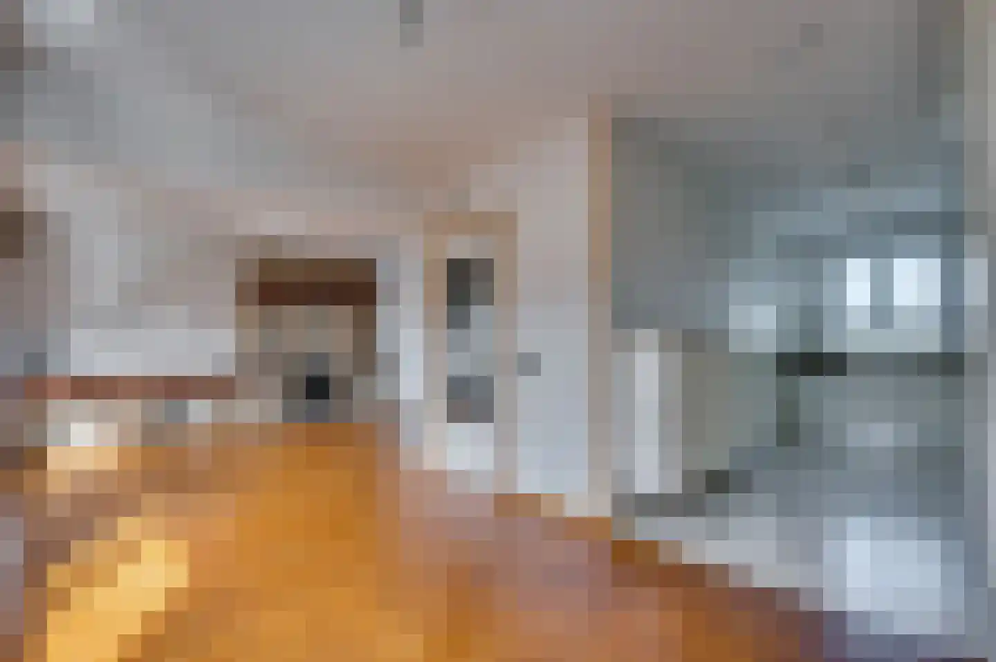 2e Lambertusstraat 10 Venlo thumbnail 5