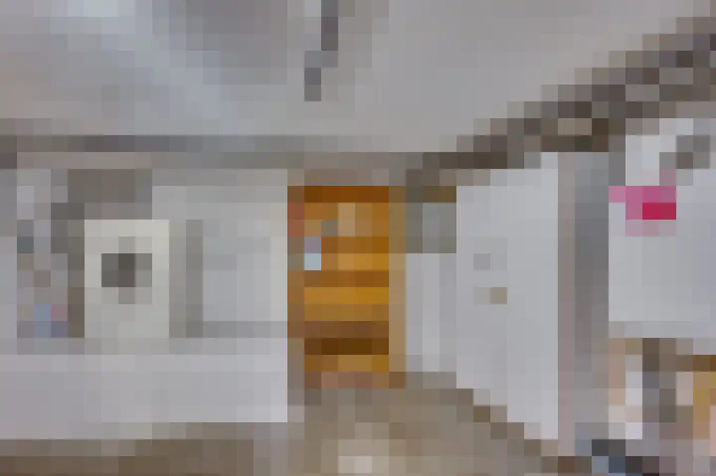 2e Lambertusstraat 7 Venlo thumbnail 23
