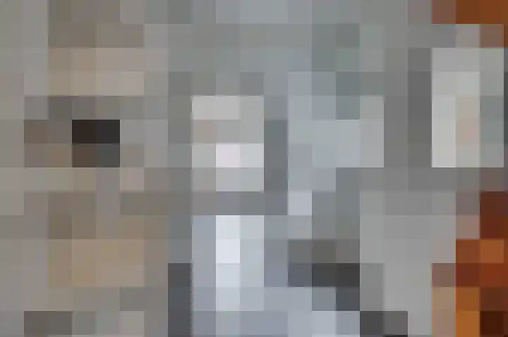 2e Lambertusstraat 7 Venlo thumbnail 5