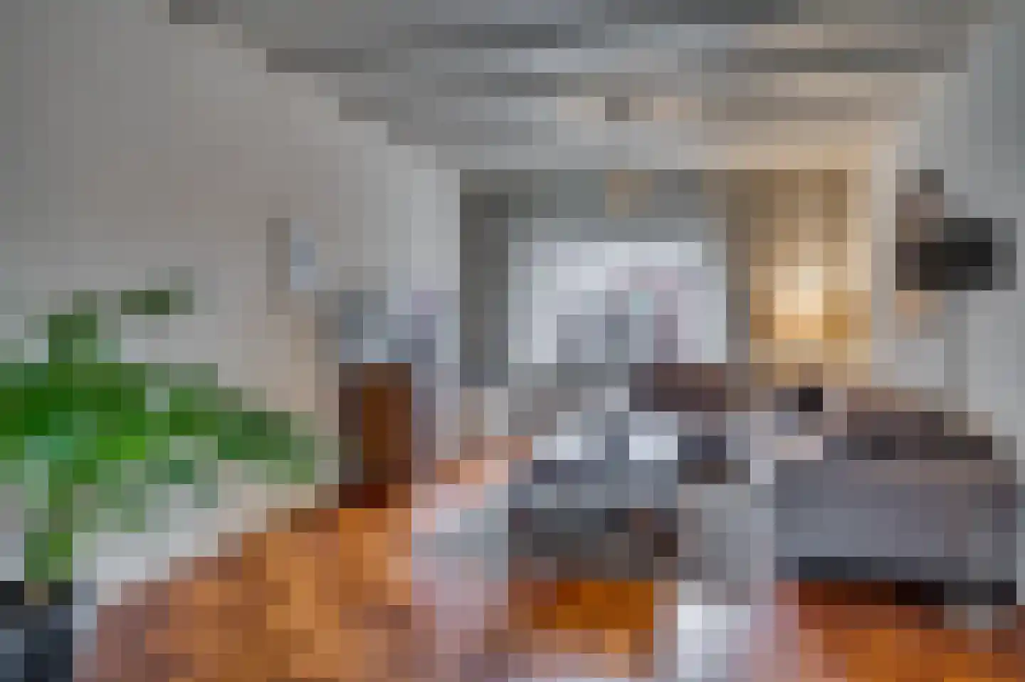 2e Lambertusstraat 7 Venlo thumbnail 9