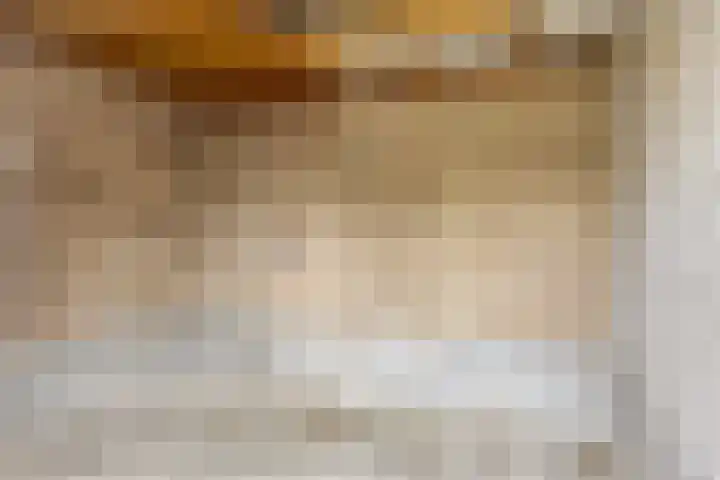 2e Lange Voren 14 Elst thumbnail 18
