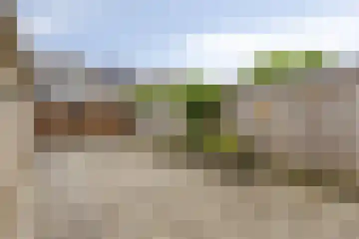 2e Lange Voren 14 Elst thumbnail 19