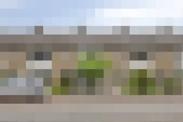 2e Lange Voren 14 Elst thumbnail 27